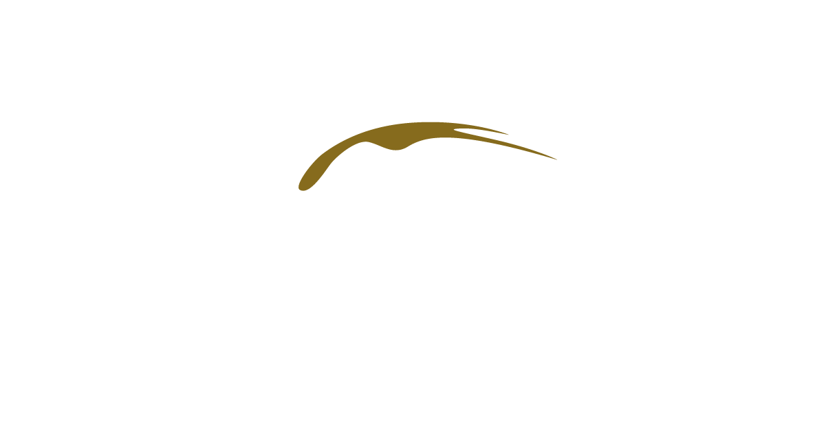 Bayu Angkasa